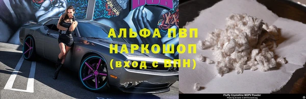 индика Беломорск
