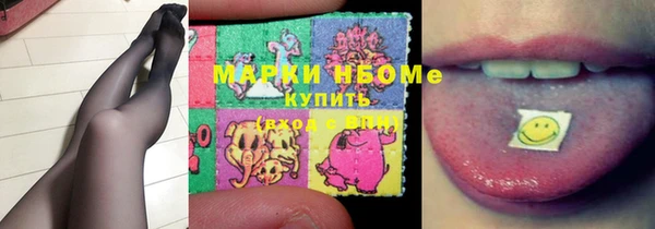 индика Беломорск