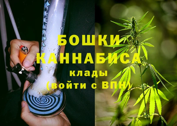 индика Беломорск