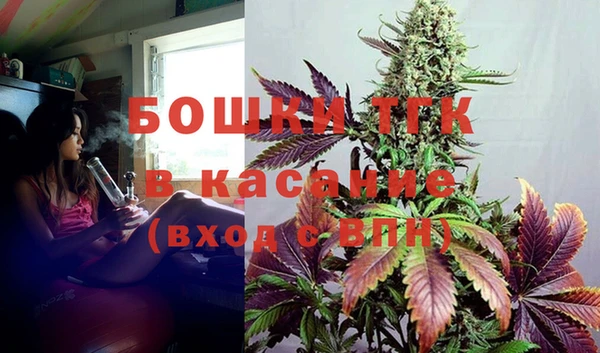 индика Беломорск