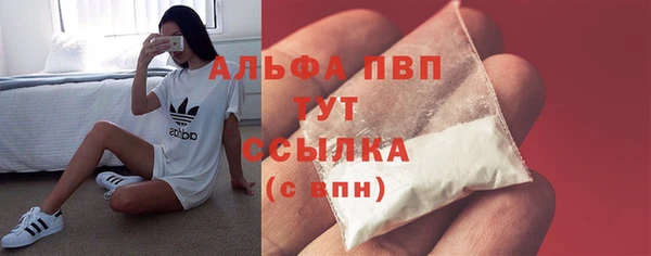 индика Беломорск